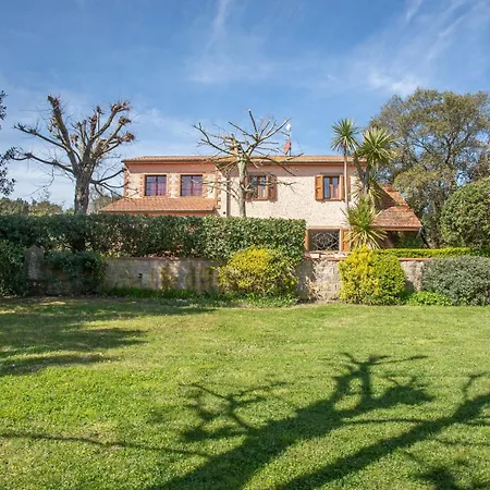 Flores Villa *